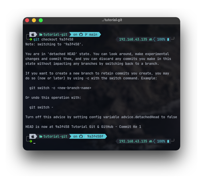 Git Checkout 2