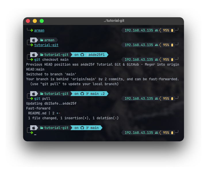 Git Checkout 3