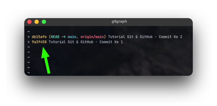 Git Checkout