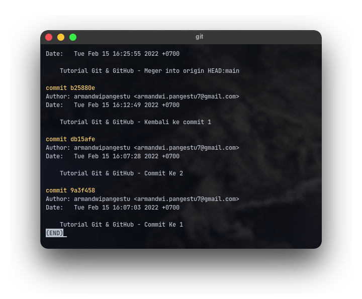 Git Log Hash Commit