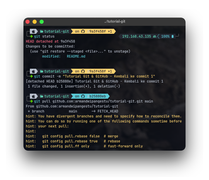 Git Pull