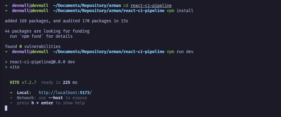 NPM Install